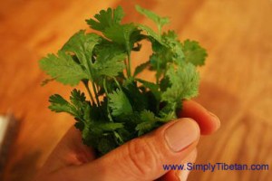 cilantro